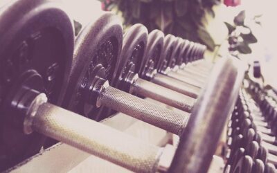 The best LOCAL “Conventional” Gyms in Yuma, Arizona